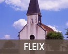 Fleix